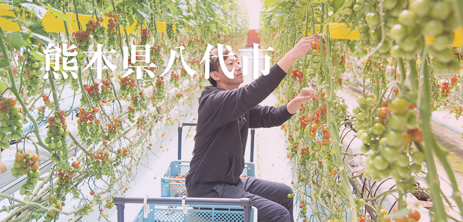 生産量日本一のトマトは美味！トマト加工品や紙製品など、日本の有名企業が手掛ける逸品も