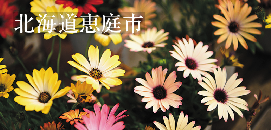 庭やベランダを彩る季節の花に、甘くて大きなブロッコリーと椎茸、球状太陽電池でつくるデザイン製品