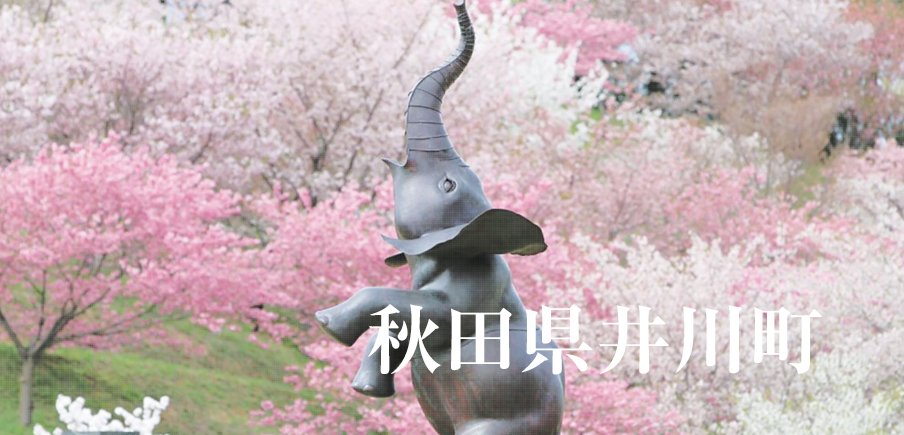 恵みの米と酒、特産スイーツ比内地鶏に話題のキムチまで桜さくらの里さとの豊かな味覚に舌鼓！
