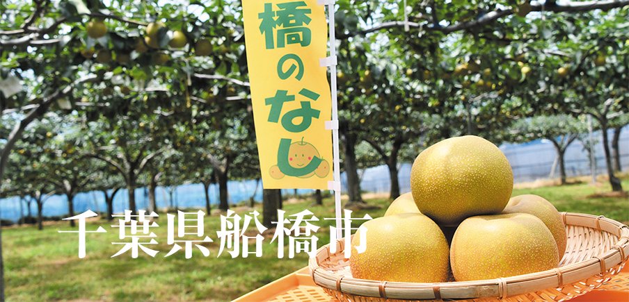 厳選グルメ3品に特別な空の旅!船橋で極上体験をどうぞ