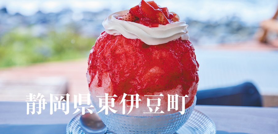 人気温泉地を満喫できる宿泊券と飲食券や観光クルーズ体験に金目鯛など自慢の味覚も！