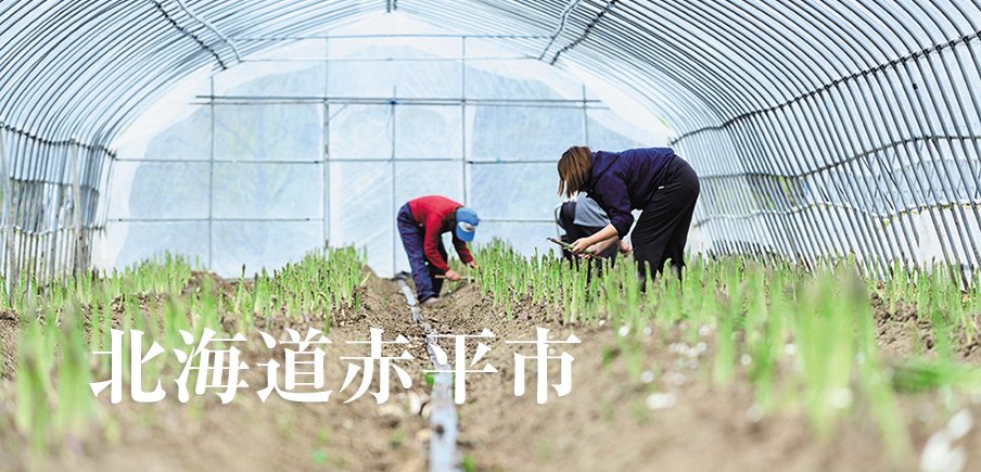 赤平の多彩なものづくりをご紹介！エリエール製品や旬のアスパラ、北海道カラーのスーツケース