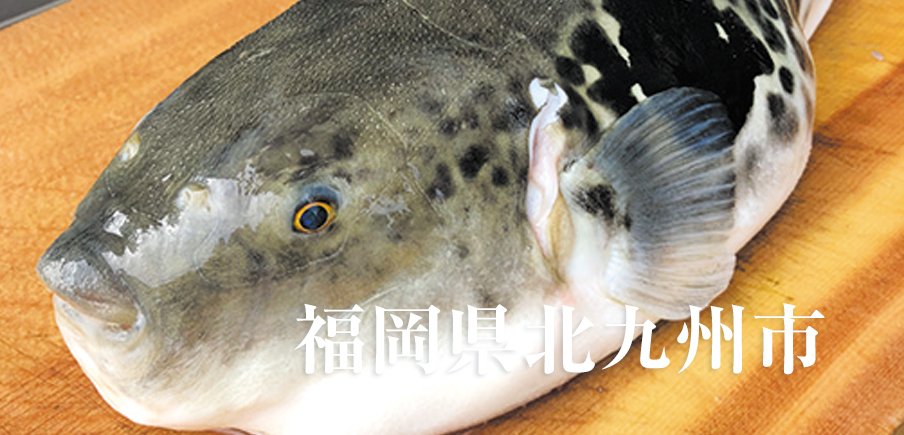 機能性と耐久性、そして信頼三拍子そろう優秀アイテムと食通をうならせる豪華グルメ