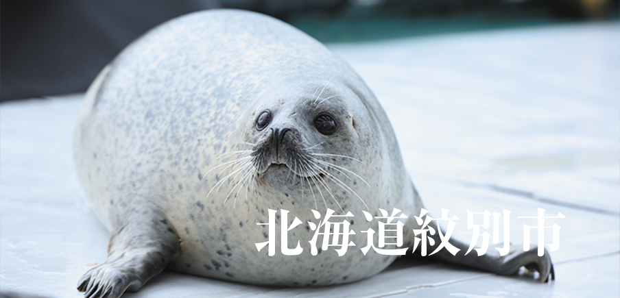 滋味深い味噌や人気アザラシ雑貨、老舗のかまぼこに名物ホタテまで！多彩な紋別の名物が目白押し！