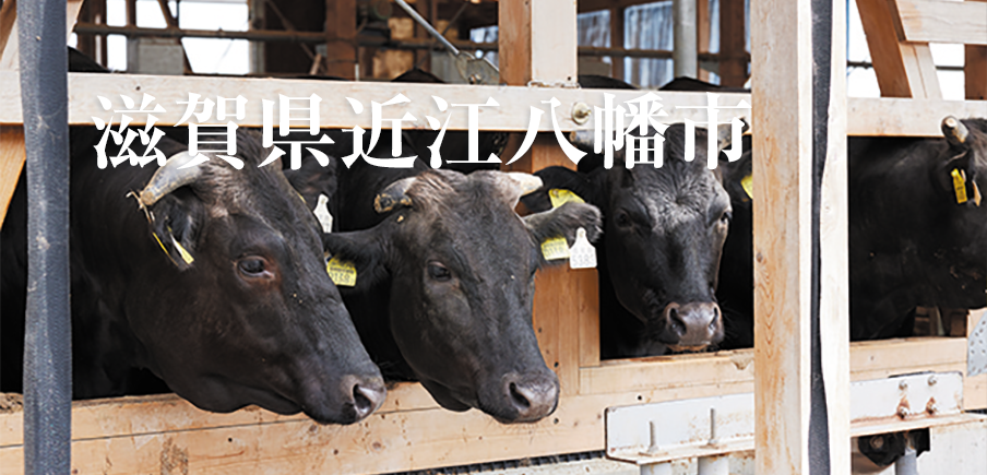 歴史と文化に磨かれたまちには、人気スイーツから近江牛、伝統工芸品などの逸品が勢ぞろい