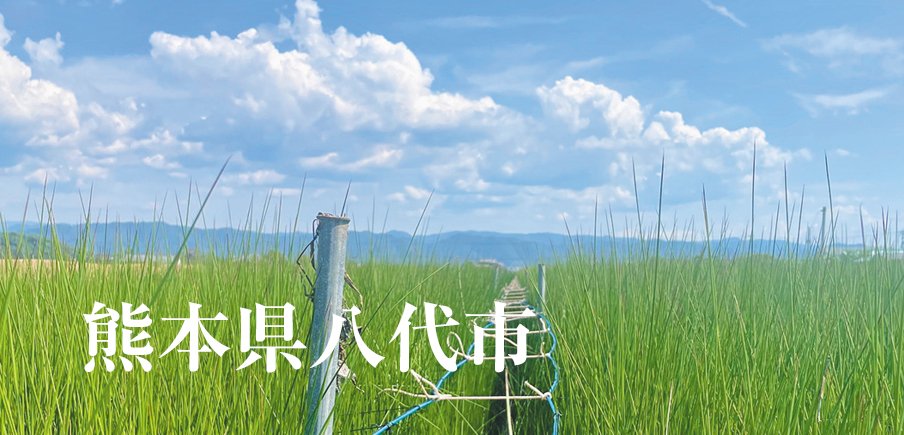 畳の原料・イ草の生産量日本一！ 爽やかに香るイ草の消臭剤から厳選素材のピザまで逸品ぞろい