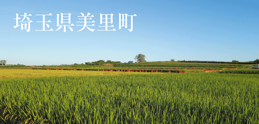 酸味控えめで甘さはダントツ！埼玉県オリジナルの新品種いちご「あまりん」