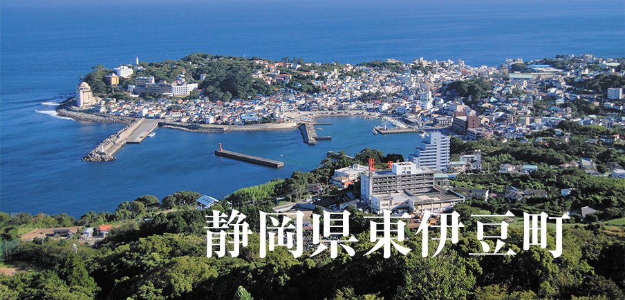 宿泊や飲食などに使える感謝券、漁船でのクルージング体験とうなぎや和菓子にも注目！