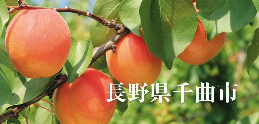 あんずやりんごなど果物栽培が盛ん。世界に誇るシャツメーカーも
