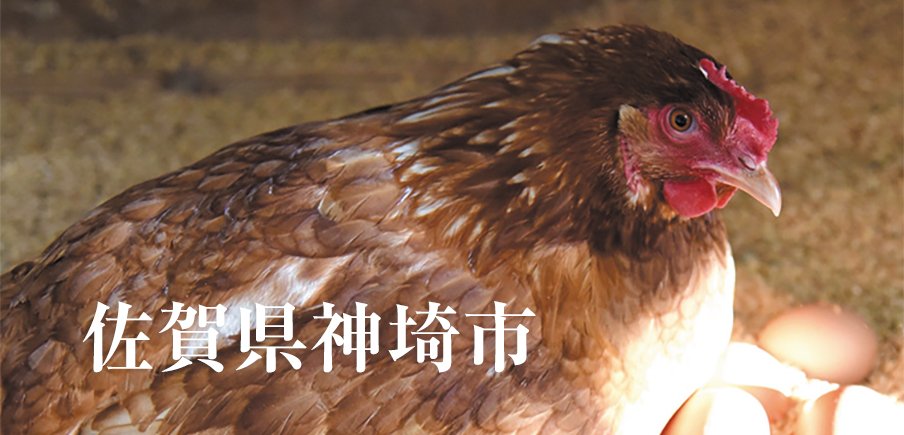 生産農家が作るアイスにプリン、数量限定のエビフライなど唯一無二のこだわりの品が続々！