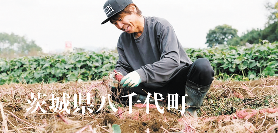 平均糖度20度のシャインマスカット！甘みの強いさつまいもとほしいも！日本一のおからドーナツが新登場