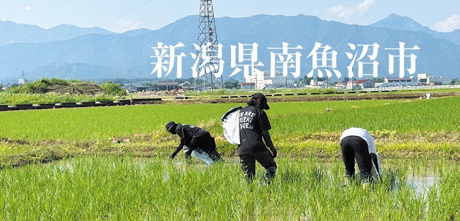 南魚沼のいいものが続々登場。従来種コシヒカリ、肉厚しいたけ、こだわり豚肉、雪室貯蔵ワインも。