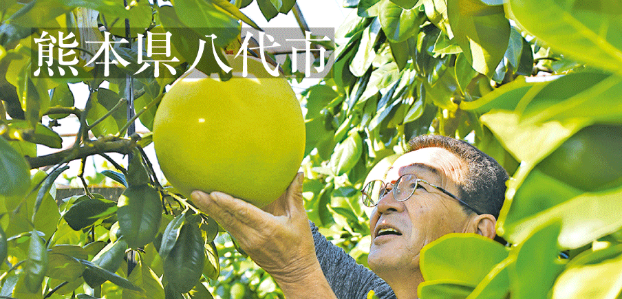 晩白柚やトマトの生産量日本一！全国に誇るハイレベルな農産物は、肥沃な干拓地がもたらす恵み