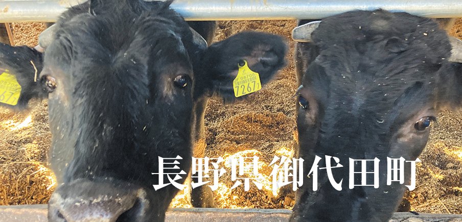 蓼科牛に人気のクラフトビール、クッキーシューに焼き菓子、職人技が光るバッグも要チェック！
