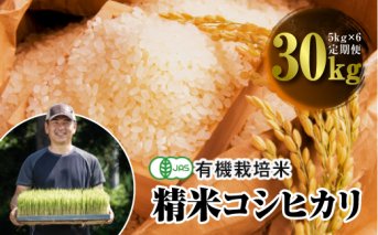 令和3年産 ＜定期便＞JAS認定 有機栽培米 コシヒカリ 精米 5kg×6回 (2カ月に1回)
