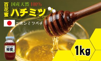 C205-006 はちみつ（日本蜜蜂）蜂蜜（百花蜜）1,000g 西山養蜂