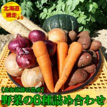 北海道藤石農産　野菜の6種詰め合わせ ※2020年9月中旬～12月中旬頃に順次発送予定