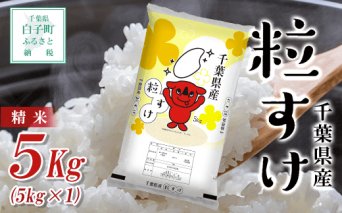 【新米】令和5年産 千葉県産粒すけ＜精米＞5kg(5kg×1) ふるさと納税 お米 5kg 千葉県産 白子町 粒すけ 米 精米 こめ 年越し おせち お餅 送料無料 SHB013