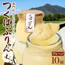 つくばぷりん プレーン 10個 冷凍 プリン ぷりん 牛乳 生乳 ミルク 卵 奥久慈卵 スイーツ 贅沢 洋菓子 おやつ 冷菓 ご褒美 デザート 専門店 人気 グルメ お取り寄せ ギフト プレゼント 贈り物 贈答品 化粧箱 筑波山 つくば 送料無料 ふじ屋 茨城県 桜川市 [EW002sa]