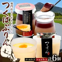ゴールドぷりん ＆ ショコラ・ヴィノ・プディング 各3個 計6個 つくばぷりん プリン ぷりん ショコラ チョコレート 牛乳 卵 スイーツ 贅沢 洋菓子 おやつ 冷菓 ご褒美 デザート 人気 グルメ お取り寄せ ギフト プレゼント 送料無料 ふじ屋 茨城県 桜川市 [EW018sa]