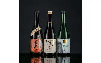 HBK002　 緊急支援 東部蔵元 純米酒のみ比べセット飲み比べ セット〈田野町・安田町・安芸市共通返礼品〉
