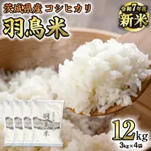 《 令和7年産 先行予約 》 コシヒカリ 「幻の米 羽鳥米」 12kg (3kg × 4袋) 筑波北麓秘蔵米 お米 ごはん 精米 コメ 白米 国産 茨城県 桜川市 限定 期間限定 数量限定 銘柄米 [AX002sa]