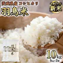 《 令和7年産 先行予約 》 コシヒカリ 「幻の米 羽鳥米」 10kg (5kg × 2袋) 筑波北麓秘蔵米 お米 ごはん 精米 コメ 白米 国産 茨城県 桜川市 限定 期間限定 数量限定 銘柄米 [AX003sa]