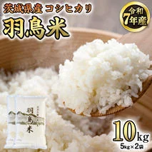 令和7年産！全国各地の採れたて新米特集 | クチコミで探すならふるさと 