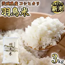 《 令和7年産 先行予約 》 コシヒカリ 「幻の米 羽鳥米」 3kg (3kg × 1袋) 筑波北麓秘蔵米 お米 ごはん 精米 コメ 白米 国産 茨城県 桜川市 限定 期間限定 数量限定 銘柄米 [AX010sa]	
