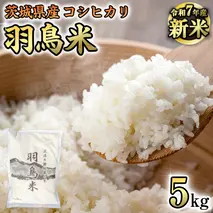 《 令和7年産 先行予約 》 コシヒカリ 「幻の米 羽鳥米」 5kg (5kg × 1袋) 筑波北麓秘蔵米 お米 ごはん 精米 コメ 白米 国産 茨城県 桜川市 限定 期間限定 数量限定 銘柄米 [AX011sa]