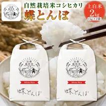 自然栽培米 コシヒカリ 『蝶とんぼ』 上白米 2kg 茨城県産 桜川 米 お米 白米 コメ ごはん コシヒカリ こしひかり 国産 [AU002sa]