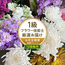 【お花の 定期便 】「毎月」届く、季節の フラワー アレンジメント ( 合計 12回 ) 花 生花 お祝い 結婚祝い 誕生日 プレゼント ギフト フラワーギフト [CY005sa]