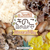 《 全３回 隔月定期便 》 きのこ の 詰め合わせ Mサイズ 約1.5kg （茨城県共通返礼品 城里町） 定期便 キノコ 舞茸 あわび茸 たもぎ茸 しいたけ 花びら茸 セット 鍋 炒め物 [CX009sa]