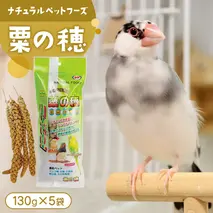 エクセル 粟の穂 130g × 5袋 小鳥用 鳥 ハムスター 小動物 ペットフード 餌 えさ ビタミン ミネラル 食物繊維 穀物  [BU023sa]