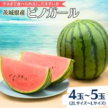 【2025年5月中旬から発送開始】こだますいか ピノガール 4～5玉 すいか 小玉すいか 小玉 スイカ 果物 フルーツ[BQ017sa]