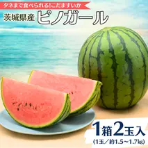 【2025年5月中旬から発送開始】こだますいか ピノガール 2玉 すいか 小玉すいか 小玉 スイカ 果物 フルーツ[BQ018sa]