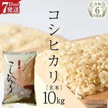 生活応援価格！【 令和6年産 】 コシヒカリ 玄米 10kg ( 10kg × 1袋 ) (茨城県共通返礼品 かすみがうら市) 米 ごはん もっちり 甘い コメ お米 玄米 銘柄米 [EX004sa]