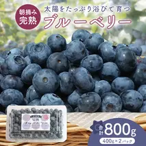 ブルーベリー 800g ( 400g × 2パック ) 【2026年6月から発送開始】 国産 茨城県産 ベリー フルーツ 果物 くだもの 自家製栽培[AK003sa]