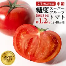 《 2026年収穫分 先行予約 》 糖度9度以上 スーパーフルーツトマト 中箱 約1.2kg × 1箱 (12～18玉/1箱) フルーツトマト ブランドトマト 野菜 ギフト 贈答 [BC002sa]