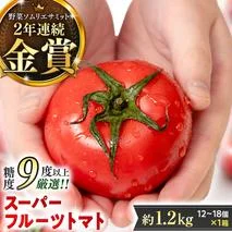 《 2026年収穫分 先行予約 》 糖度9度以上 スーパーフルーツトマト 中箱 約1.2kg × 1箱 (12～18玉/1箱) フルーツトマト ブランドトマト 野菜 ギフト 贈答 [BC002sa]