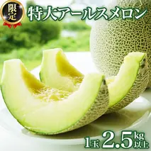 【2025年8月下旬発送開始】 季節 限定 ！ 甘さ満点 特大 アールスメロン 1個 箱 果物 フルーツ 農家直送 産直 青肉メロン 特産品 マスクメロン メロン くだもの 茨城 [BC005sa]