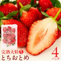 【 2026年1月上旬発送開始 】完熟 とちおとめ 約260g×4パック 国産 いちご イチゴ 苺 とちおとめ 果物 フルーツ [BC006sa]