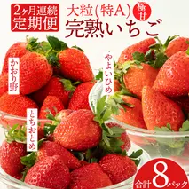 【2ヵ月 定期便】 完熟 いちご 4パック × 2回 合計 8パック （1P約260g） 国産 イチゴ 苺 果物 くだもの フルーツ かおり野 とちおとめ やよいひめ 茨城県産 KEK [BC074sa]
