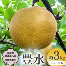 【2025年8月下旬発送開始】 茨城県産 梨 「 豊水 」 約 3kg 6玉 ～ 9玉【茨城県共通返礼品／常陸太田市】 桧山果樹園 農家直送 桧山果樹園 農家直送 フルーツ  甘い 直送 茨城 限定 ギフト 梨 豊水 ほうすい 果物 [DU003sa]