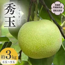 【2025年9月上旬発送開始】茨城県産 『幻の 梨 』 秀玉 約 3kg 6玉 ～ 9玉 【茨城県共通返礼品／常陸太田市】桧山果樹園 農家直送 桧山果樹園 農家直送 フルーツ  甘い 直送 茨城 限定 ギフト 梨 秀玉 しゅうぎょく 果物 [DU005sa]