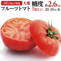 《 2026年収穫分 先行予約 》 糖度7度以上 フルーツトマト 大箱 約2.6kg × 1箱 (20～35玉/1箱) ブランドトマト 野菜 ギフト 贈答 [BC018sa]