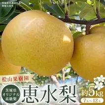 【2025年9月上旬発送開始】 茨城県 オリジナル 幻の 高級梨 『 恵水 』 約 5kg 7玉 ～ 12玉 【茨城県共通返礼品／常陸太田市】 桧山果樹園 農家直送 桧山果樹園 農家直送 フルーツ  甘い 直送 茨城 限定 ギフト 梨 恵水 けいすい 果物 [DU008sa]
