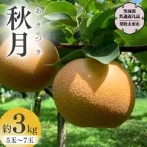 【2025年9月中旬発送開始】 茨城県産 梨 「 秋月 」 約 3kg 5玉 ～ 7玉 【茨城県共通返礼品／常陸太田市】 桧山果樹園 農家直送 桧山果樹園 農家直送 フルーツ  甘い 直送 茨城 限定 ギフト 梨 秋月 あきづき 果物 [DU009sa]