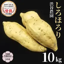 しろほろり 約10kg (茨城県共通返礼品／行方市) 2025年11月から発送開始 渋谷農園 さつまいも いも 芋 焼き芋 [DT012sa]