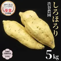 しろほろり 約5kg (茨城県共通返礼品／行方市) 2025年11月から発送開始 渋谷農園 さつまいも いも 芋 焼き芋 [DT011sa]